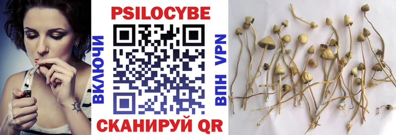 Галлюциногенные грибы MAGIC MUSHROOMS  Нововоронеж 