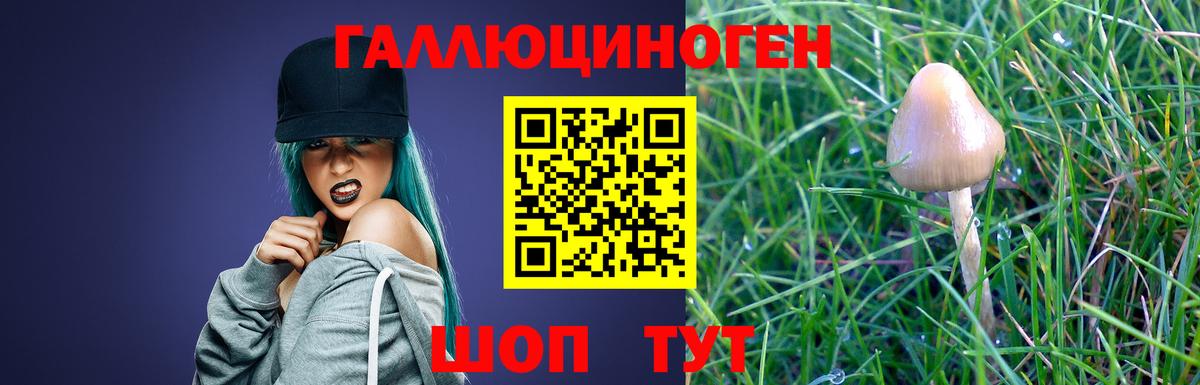 Нововоронеж  Галлюциногенные грибы MAGIC MUSHROOMS  Галлюциногенные грибы мицелий  Вход с VPN 