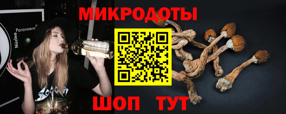 Галлюциногенные грибы мухоморы Нововоронеж