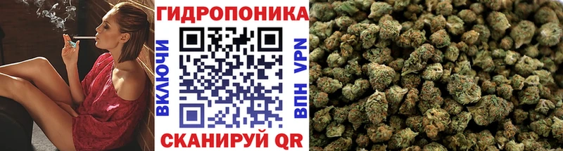 Каннабис конопля  купить закладку  Нововоронеж 